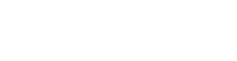 The Sun