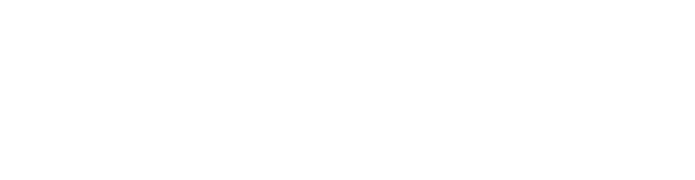 The Sun